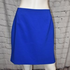 Blue Skirt